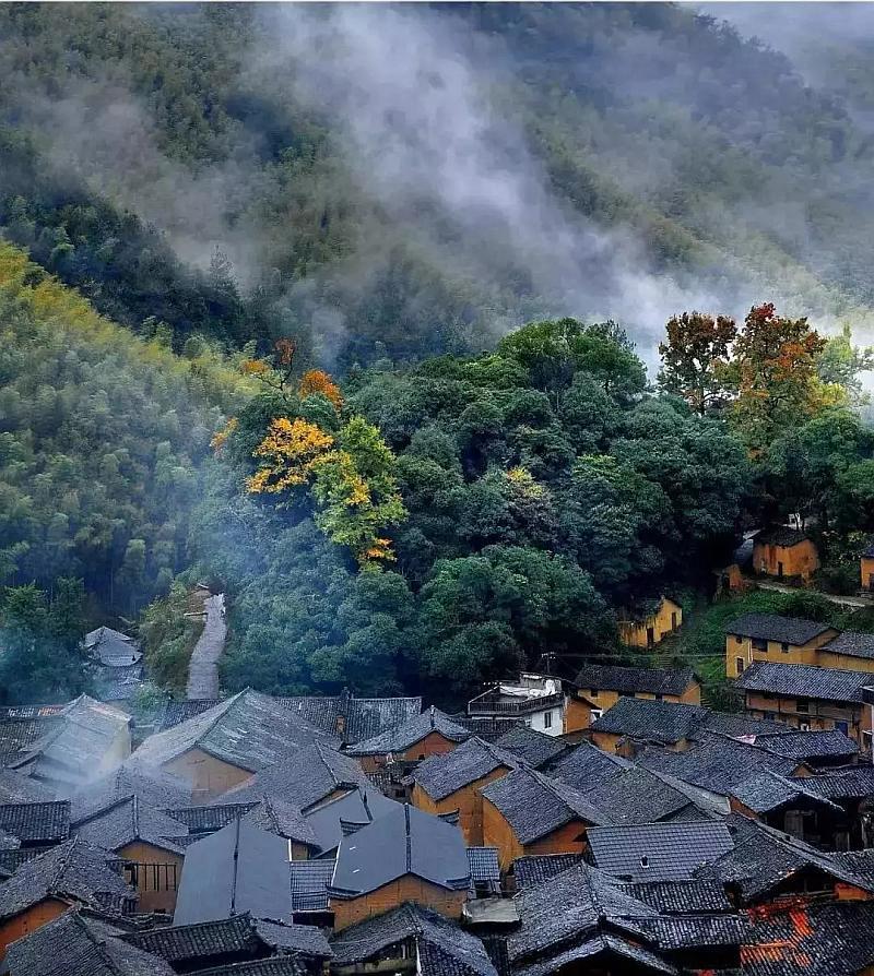 虫虫助手下载